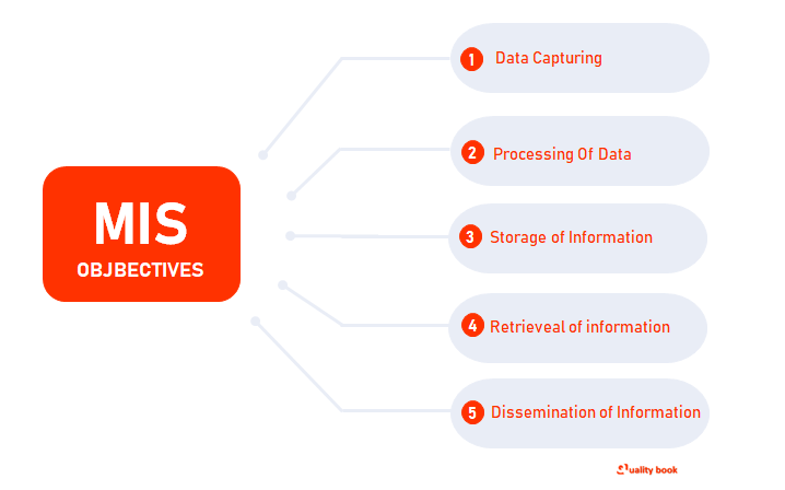 Management Information System objectives 